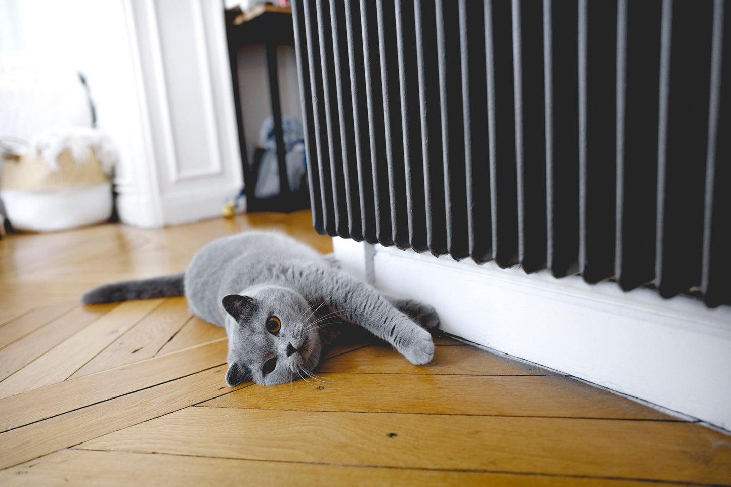 Relooker un radiateur en fonte