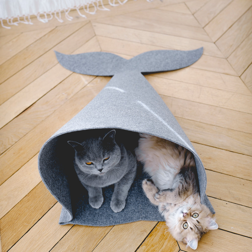 
                  
                    DIY | Cat Mermaid
                  
                