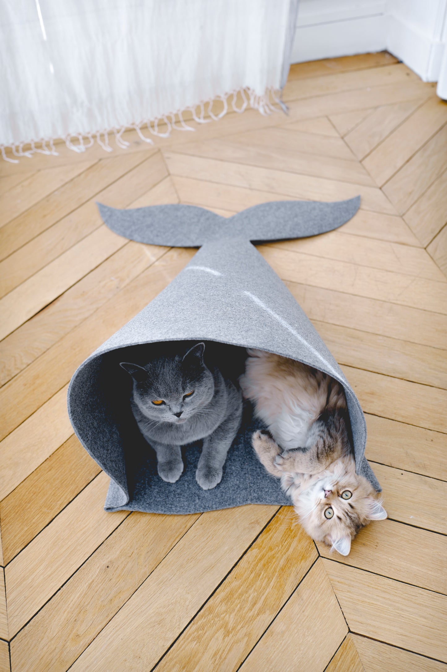
                  
                    DIY | Cat Mermaid
                  
                