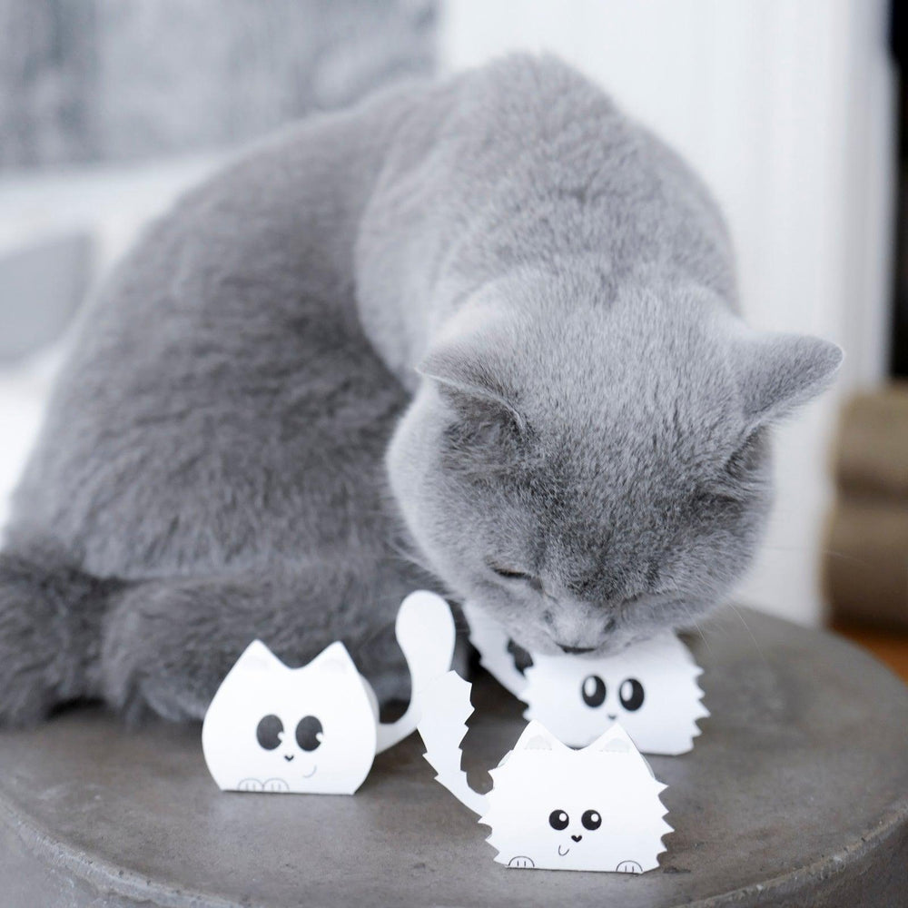 
                      
                        DIY | Chalendrier Onlymilk - Vanessa Pouzet
                      
                    