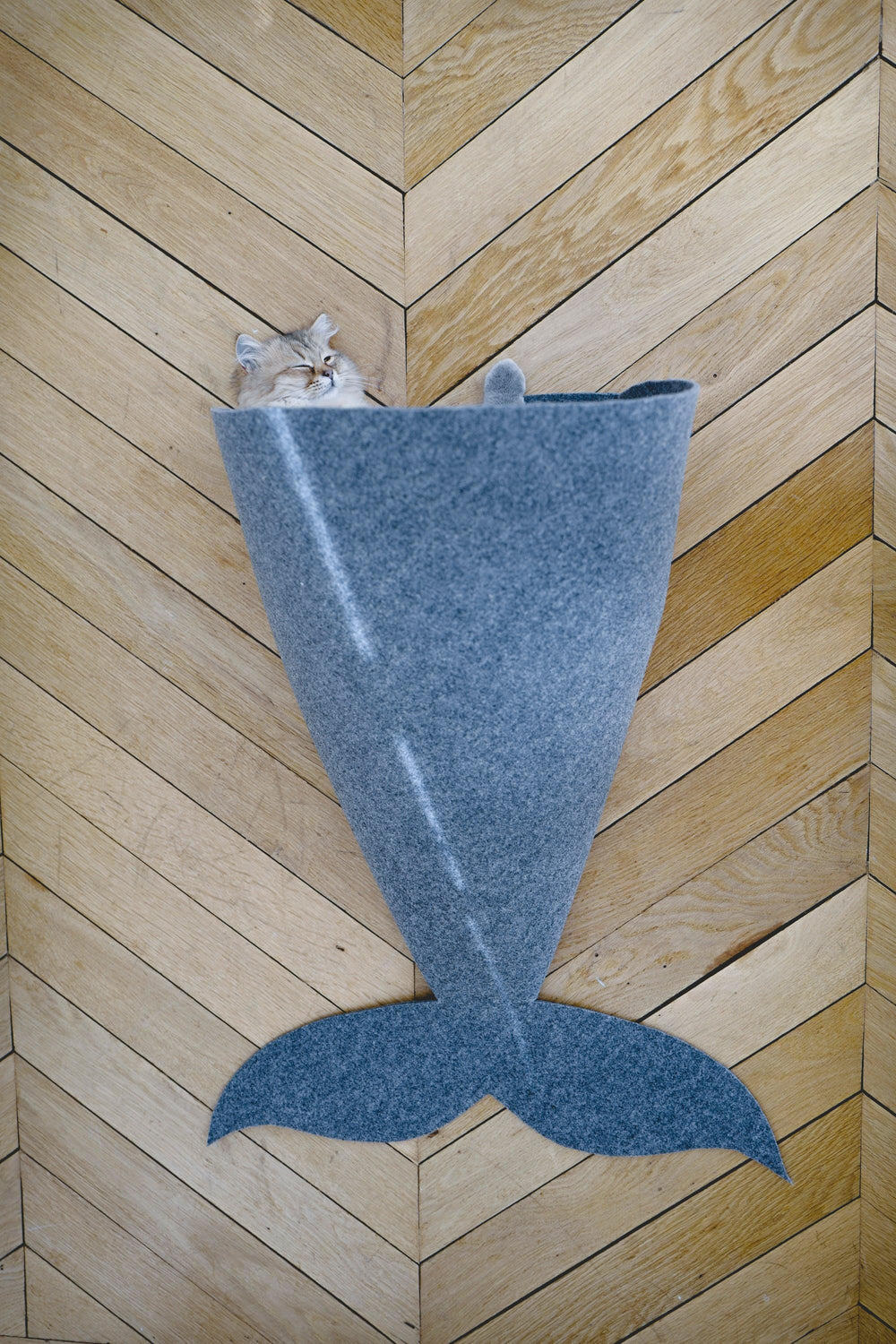 DIY | Cat Mermaid